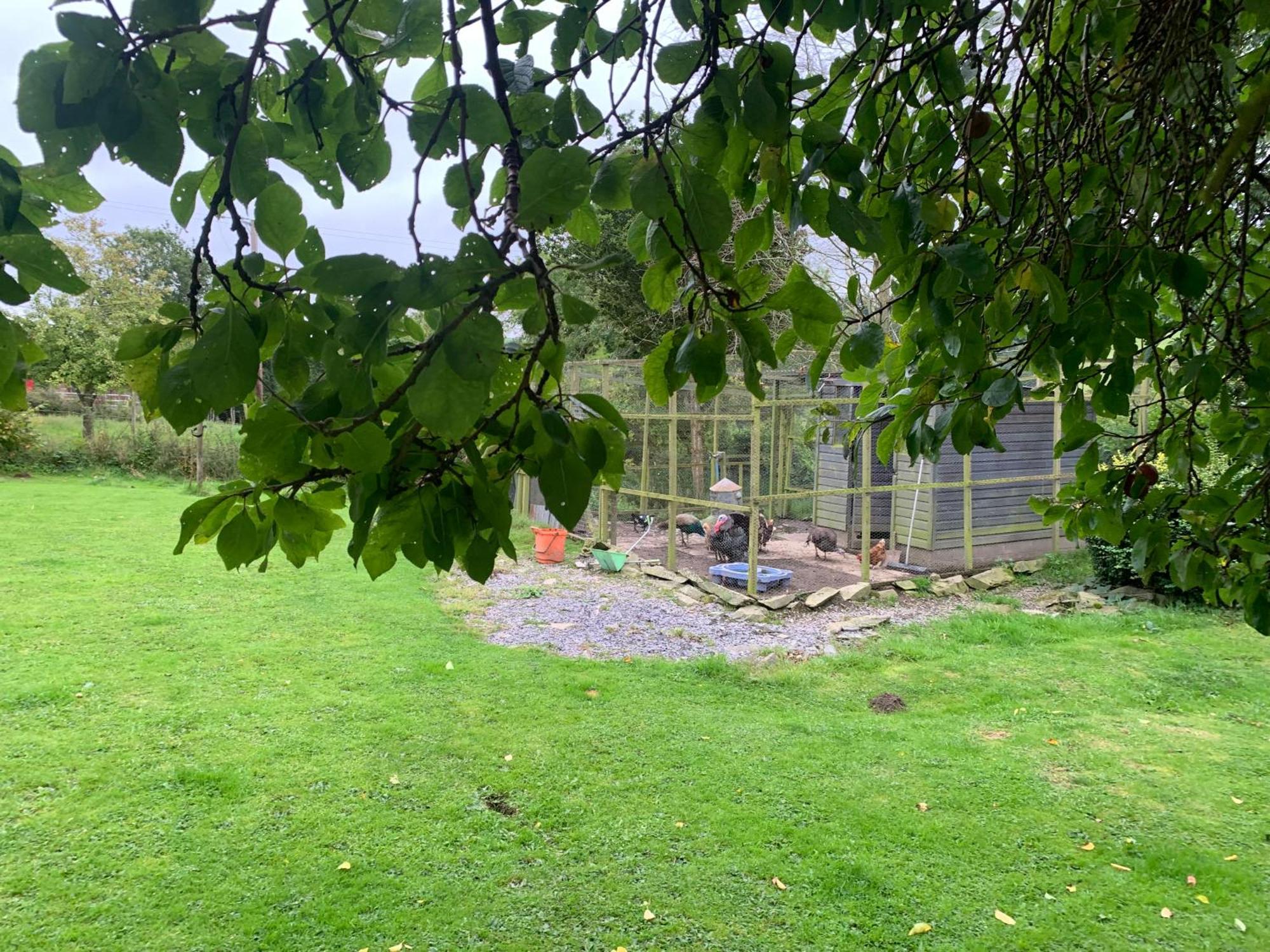 Stunning 2-Bed Cabin In Nantglyn Denbigh Luaran gambar