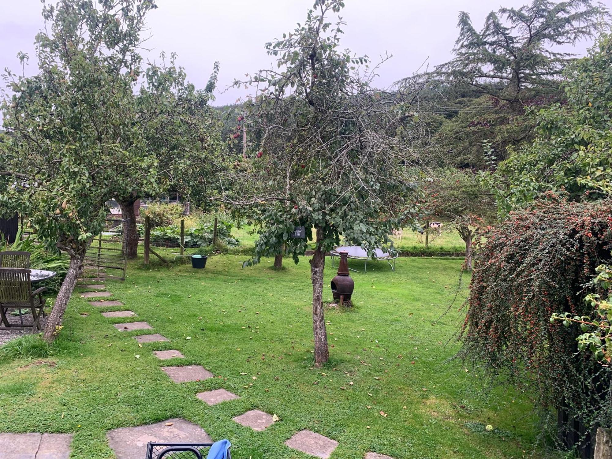 Stunning 2-Bed Cabin In Nantglyn Denbigh Luaran gambar